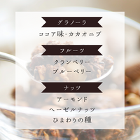 【定期専用・最大1,019円お得】酒粕グラノーラ2種×2袋セット(プレーン・ココアベリー)